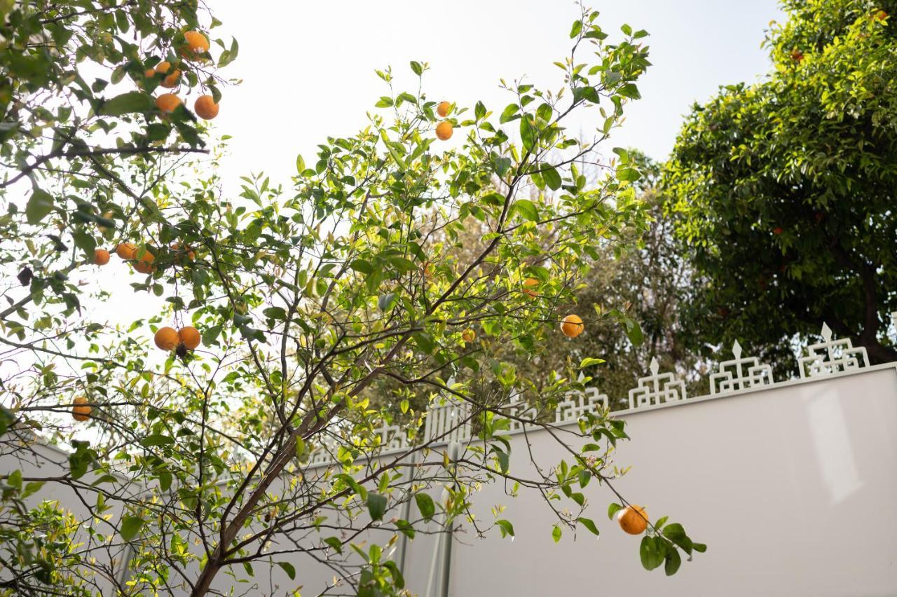 Casa Blue Dove Apartment Chania  Exterior photo